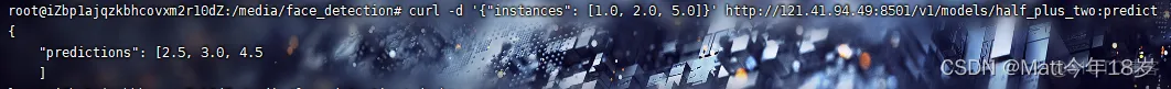 在docker中安装tensorflow docker tensorflow serving_docker_03
